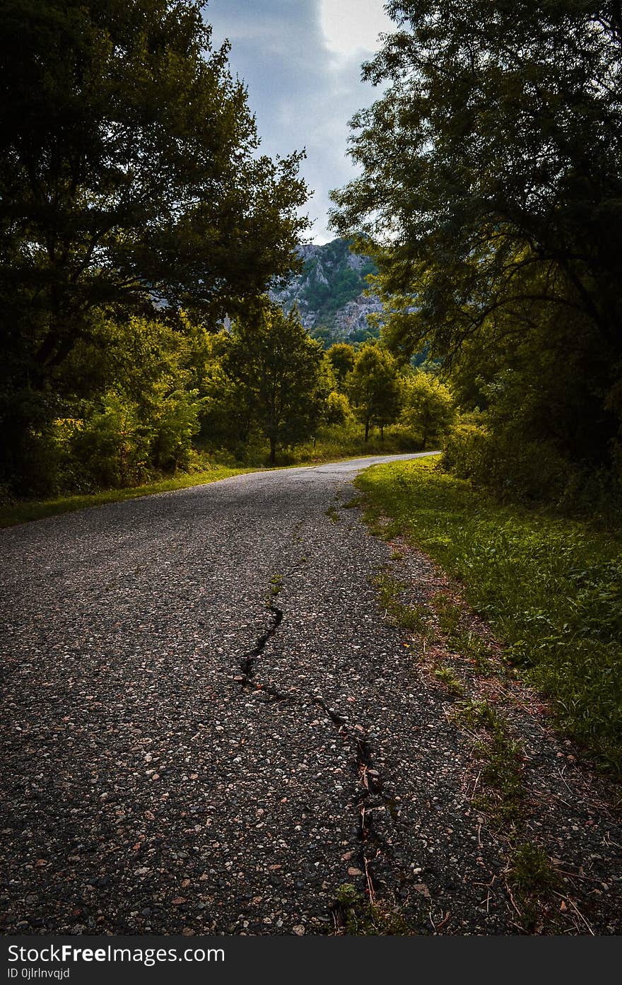 Sky, Path, Nature, Road