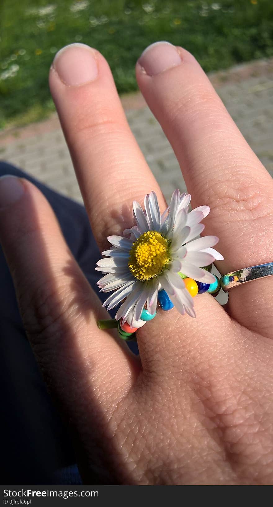 Flower, Hand, Flora, Finger