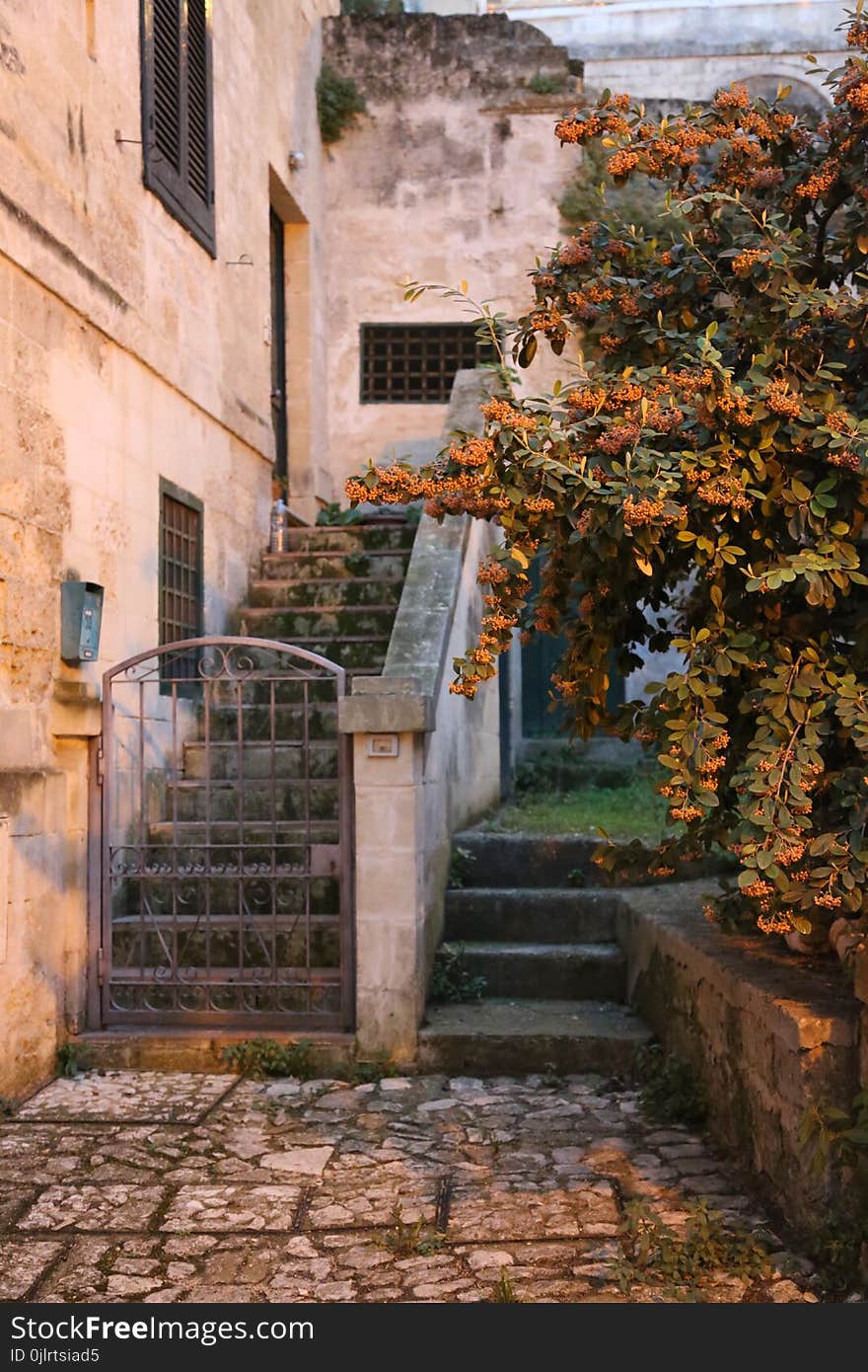 Wall, Historic Site, Village, Autumn