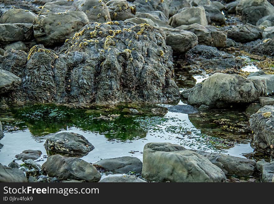 Water, Rock, Stream, Watercourse