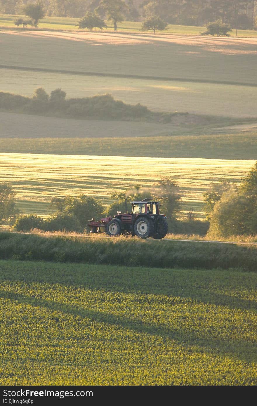 Field, Grassland, Ecosystem, Plain