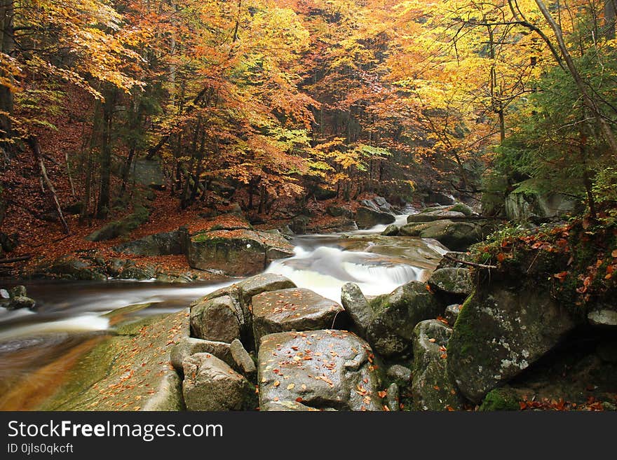 Nature, Water, Stream, Body Of Water