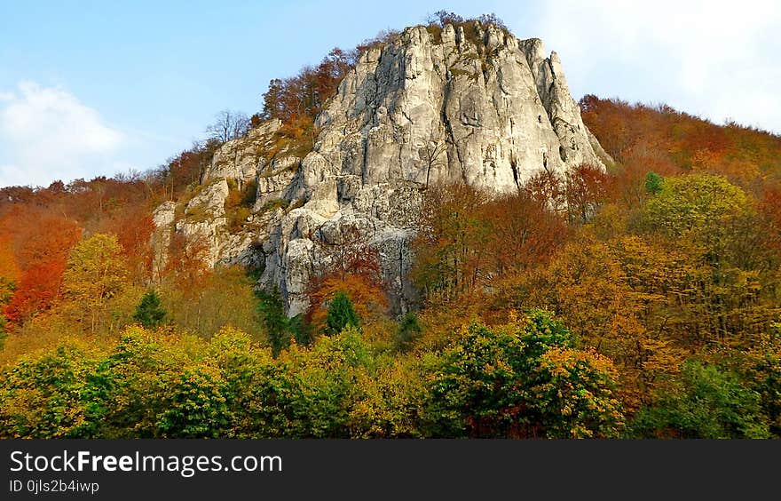 Nature, Leaf, Nature Reserve, Vegetation