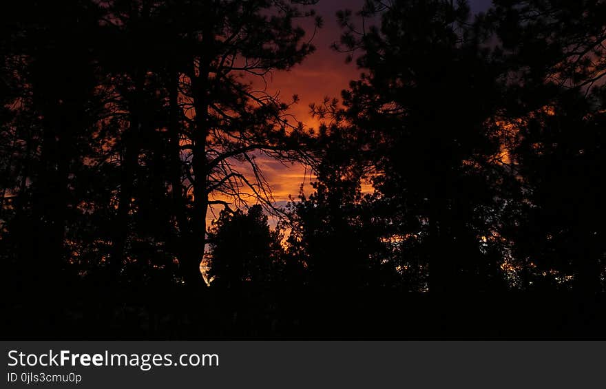 Nature, Sky, Darkness, Atmosphere