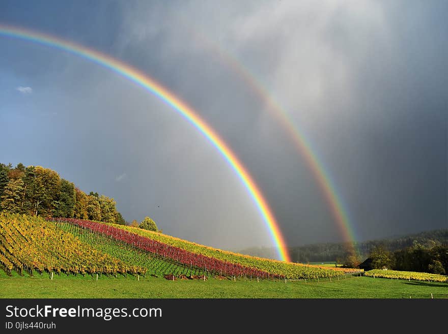 Rainbow, Sky, Field, Atmosphere