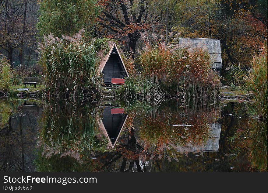 Reflection, Water, Nature, Waterway