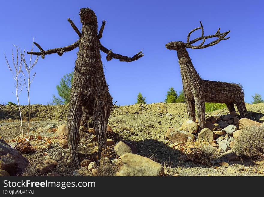 Ecosystem, Fauna, Sky, Tree