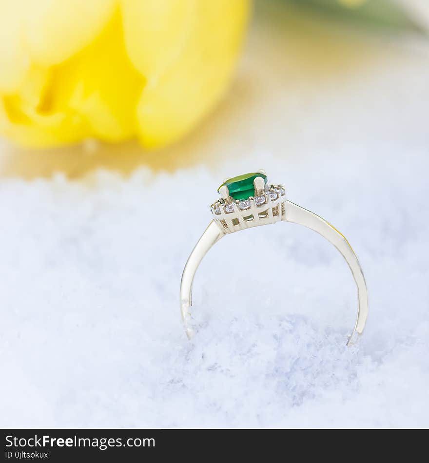 Golden Ring, Snow And Flowers Yellow Tulips On A Light Background