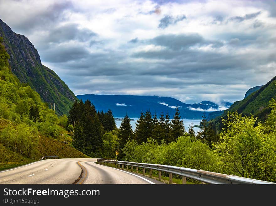 Grey Pathway Surrounded by Green Trees on Both Sided Leading to Blue Moutains Under Grey Cloudy Sky