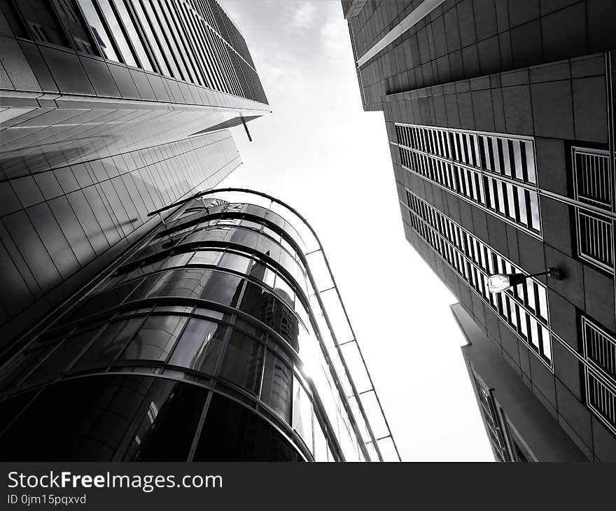 Grayscale Photograph of Buildings