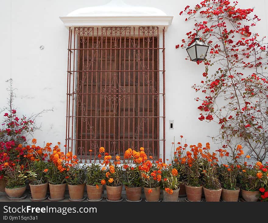 Brown Metal Window Frame Surrounded by Flowers