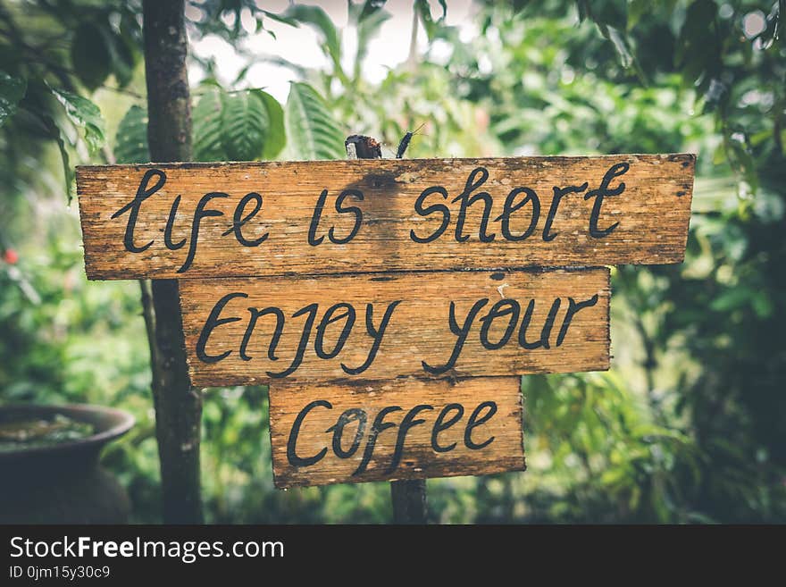 Shallow Photography of Life Is Short Enjoy Your Coffee Signage