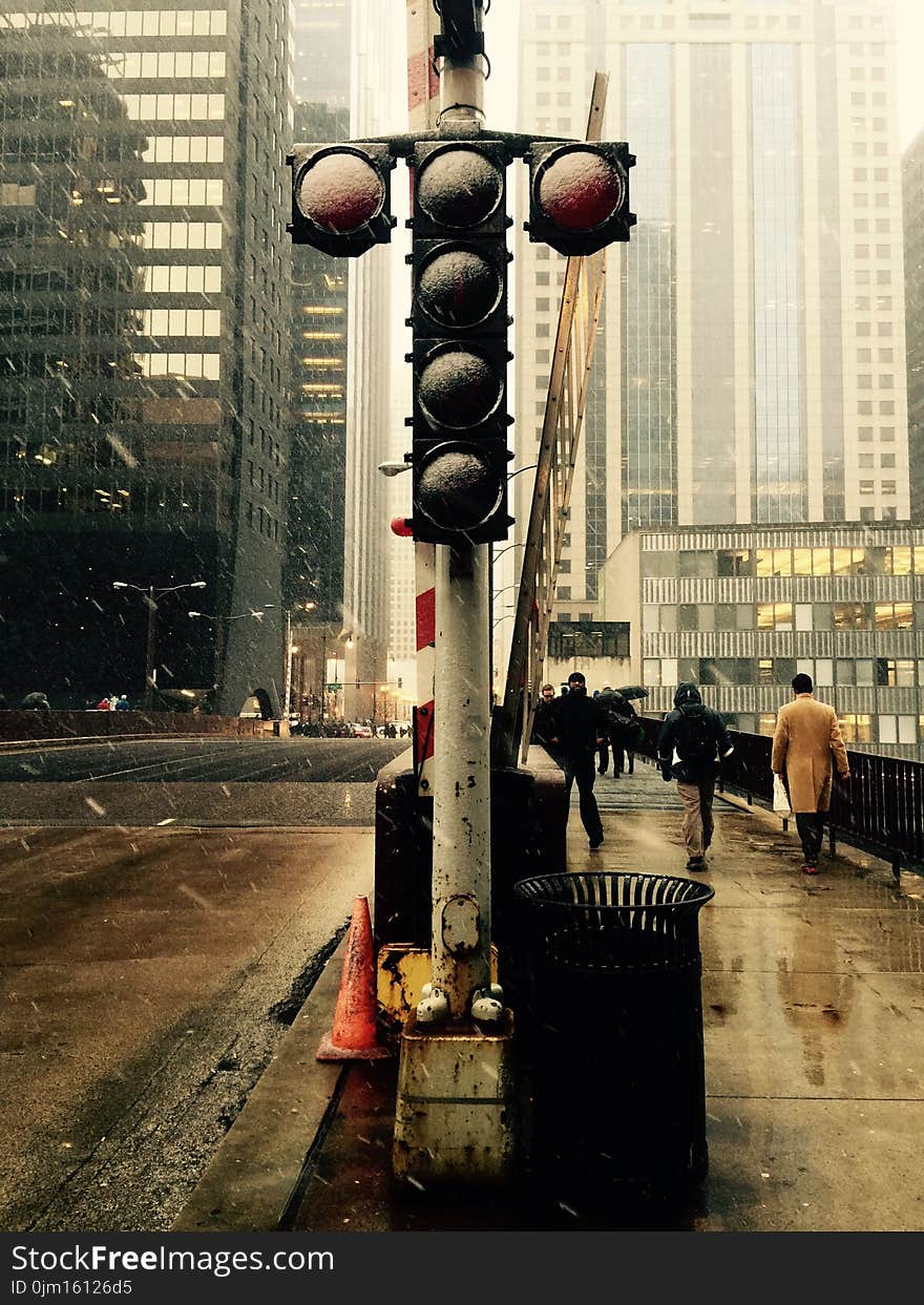 Traffic Light on Road High-saturated Photography