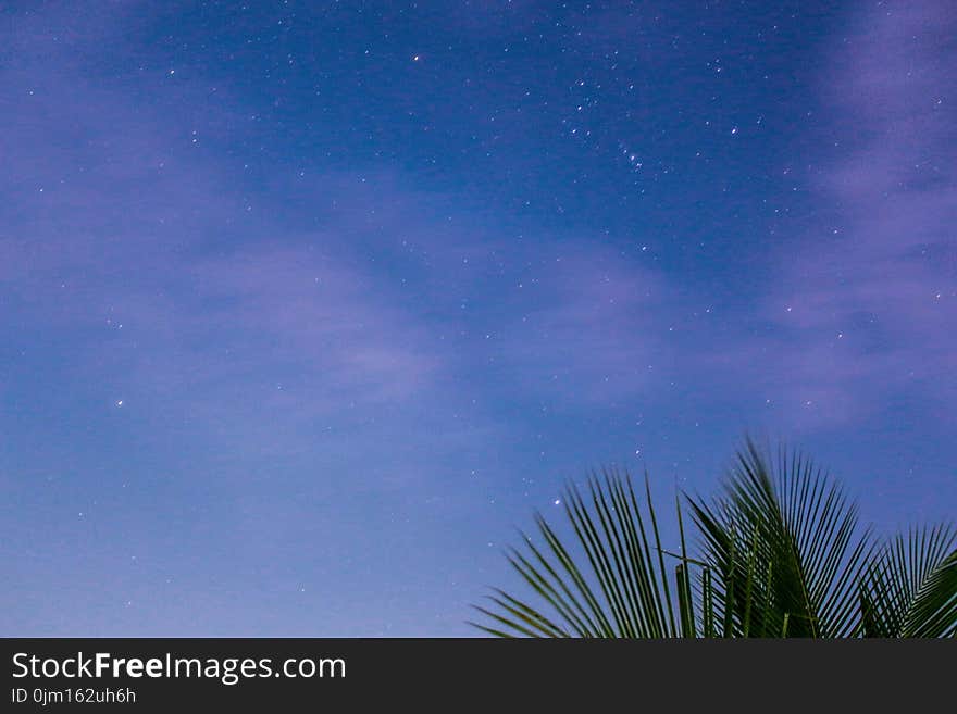 Starry Sky during Dusk