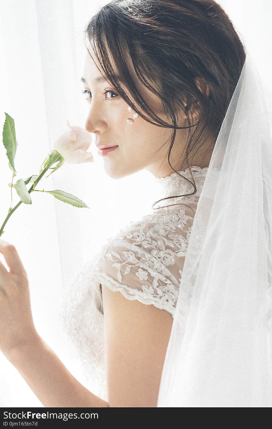 Woman Wearing White Lace Encrusted Wedding Gown and Veil