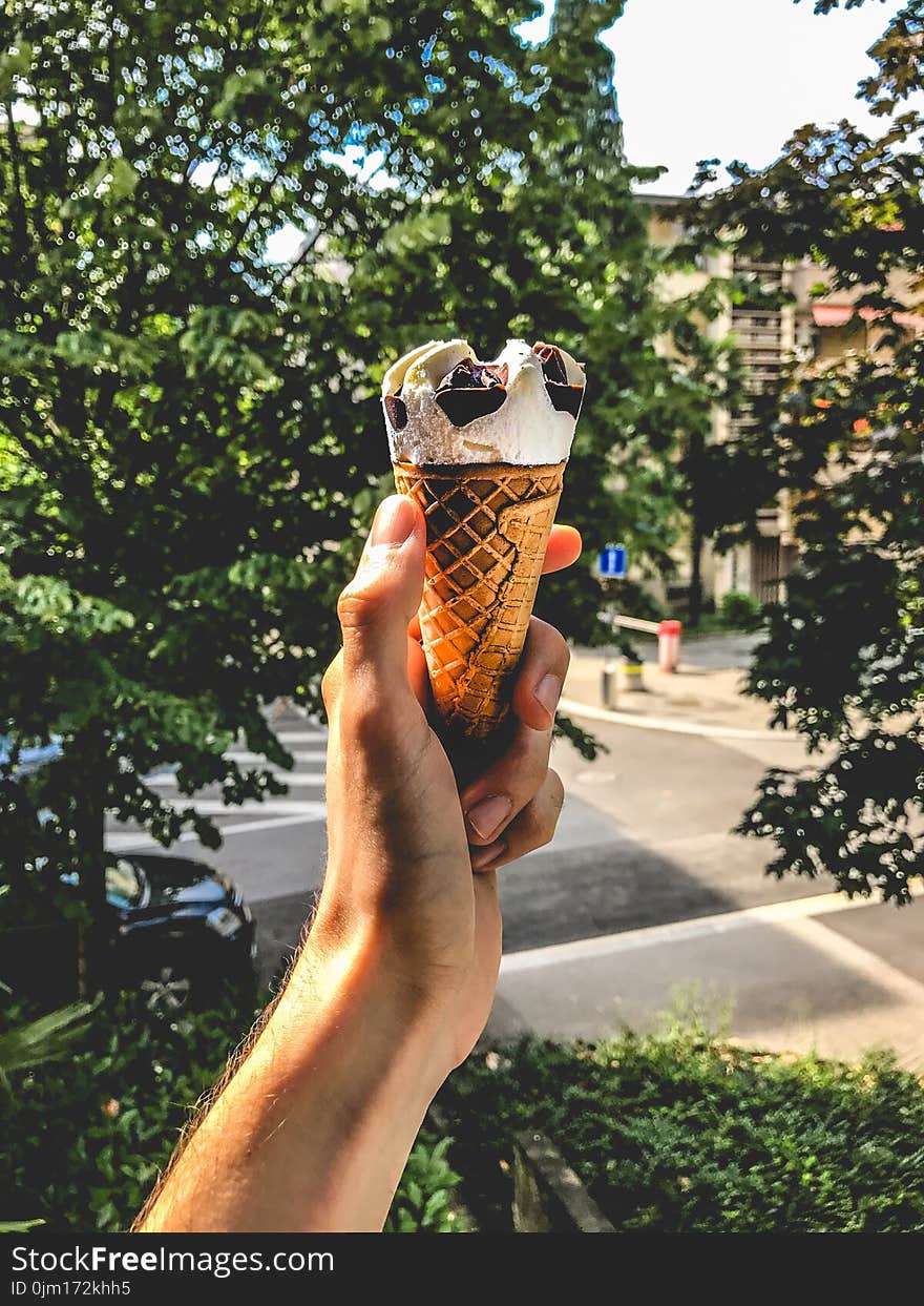 Person Holding Ice Cream