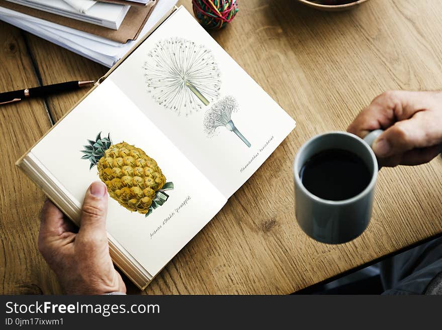 Person Holding Gray Ceramic Mug and Book