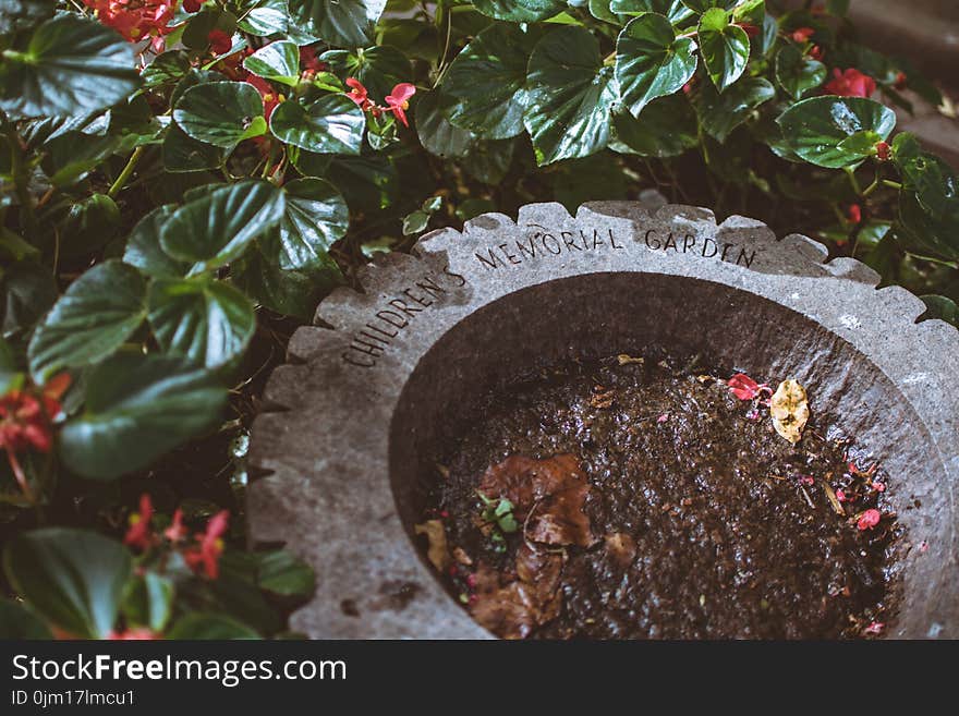 Children&#x27;s Memorial Garden