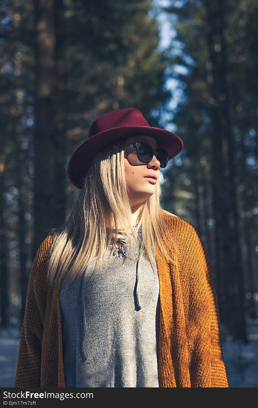 Woman in Brown Cardigan and Gray Top Near Green Leaf Trees at Daytime