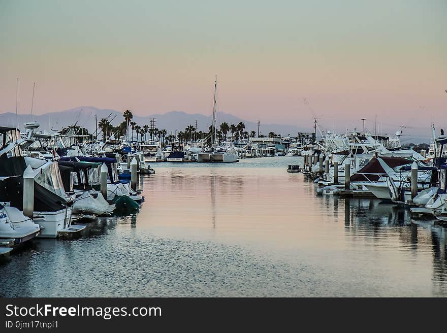 White Boat Lot on Bodies of Water Photo