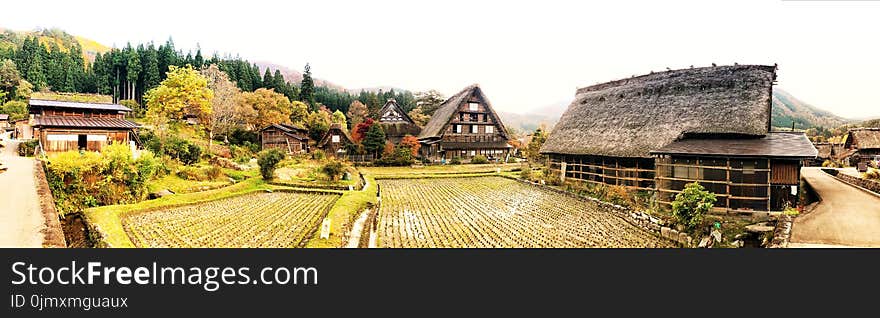 Farm Field Surrounded by Houses