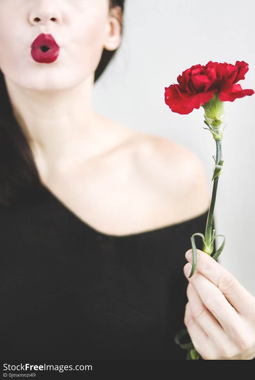 Photo of a Woman Holding Red Carnation Flower