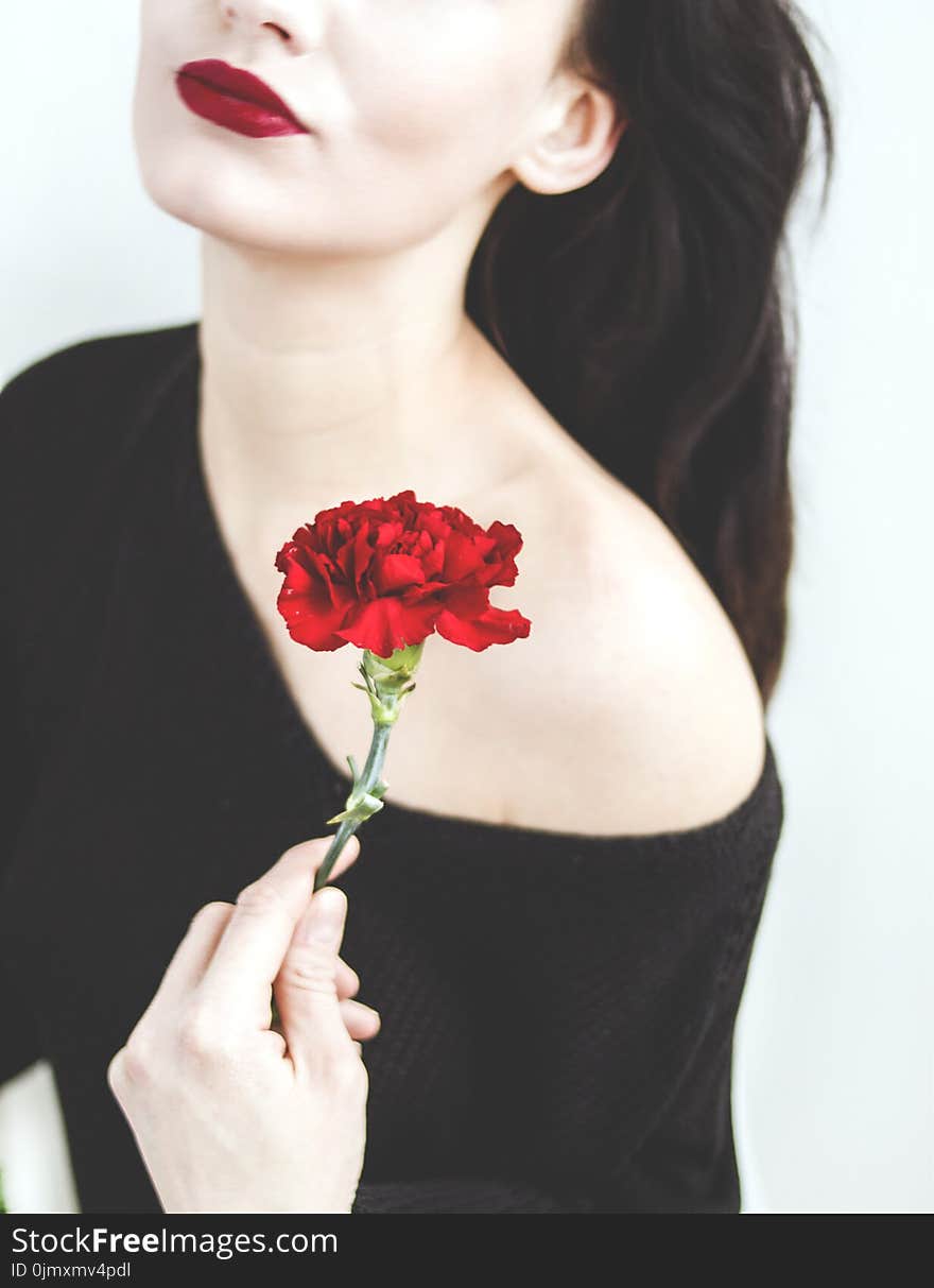 Woman in Black One-shoulder Top Holding Red Carnation