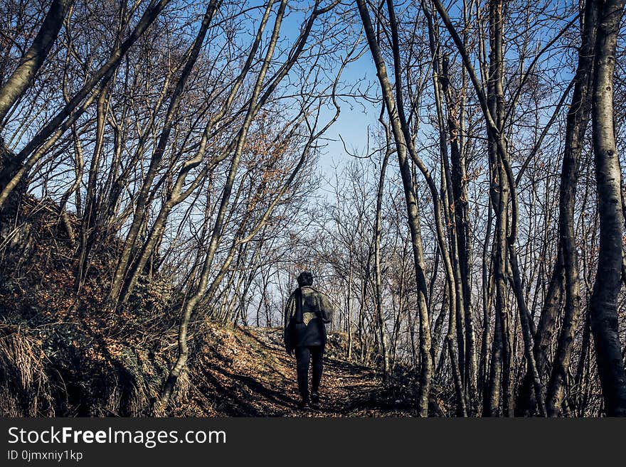 Man in Middle of Forest