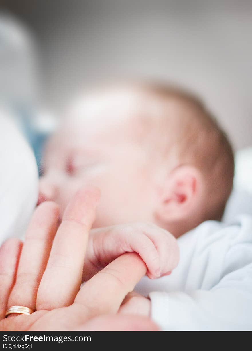 Tilt-shift Lens Photo of Infant&#x27;s Hand Holding Index Finger of Adult