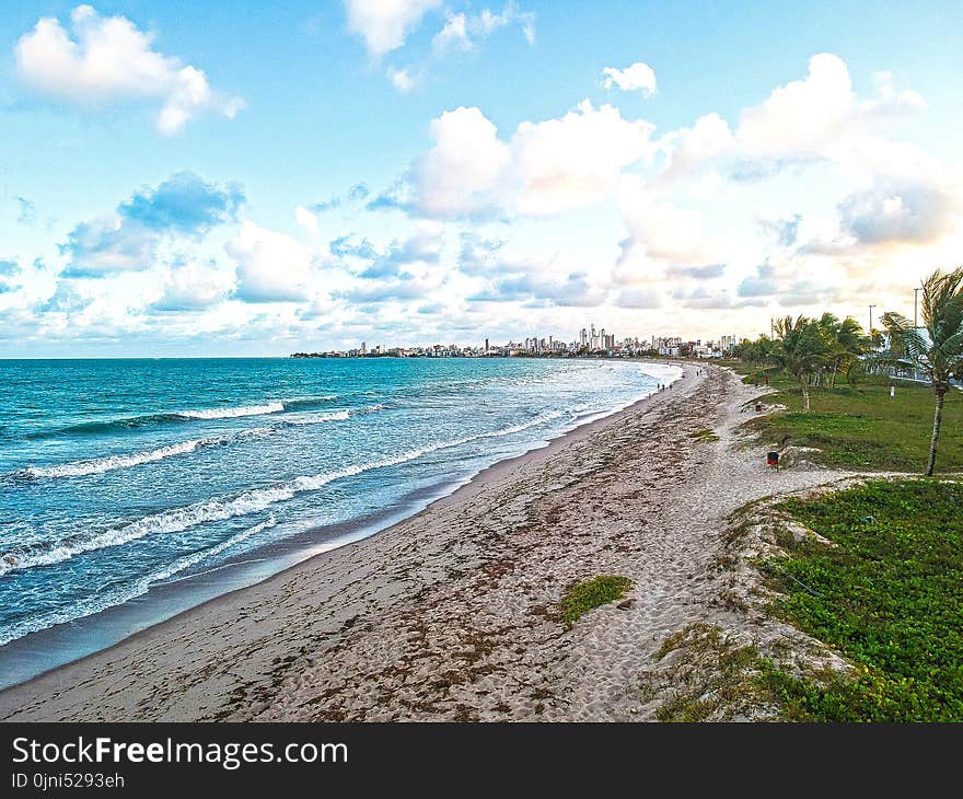 Seashore With Green Palm Trees