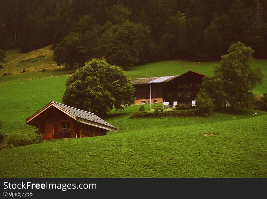 Two Brown Wooden Cabins in Green Grass Field