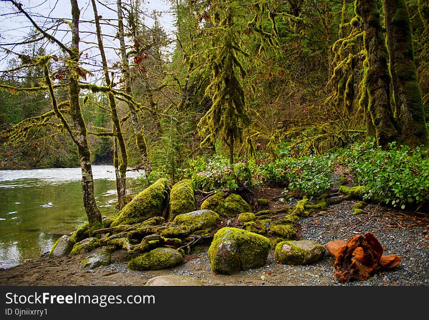 Englishman River Falls lower waterfalls in Vancouver Island, BC