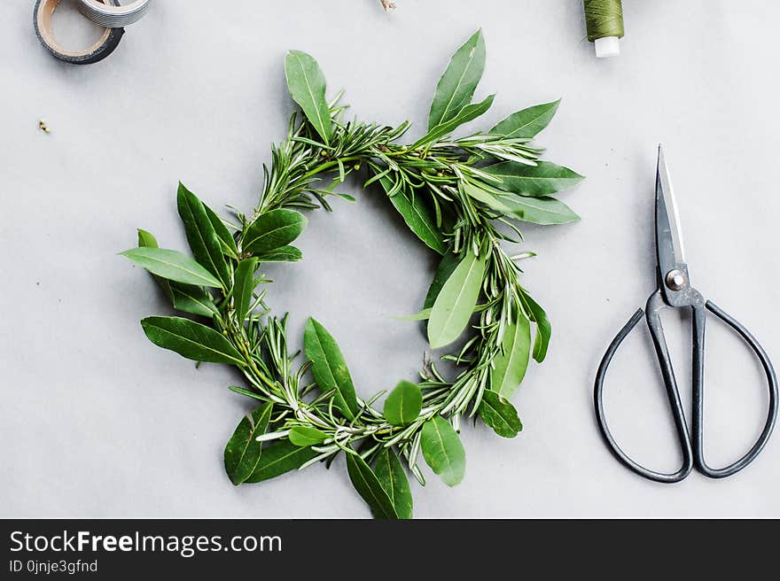 Green Leaf Wreath on White Surface