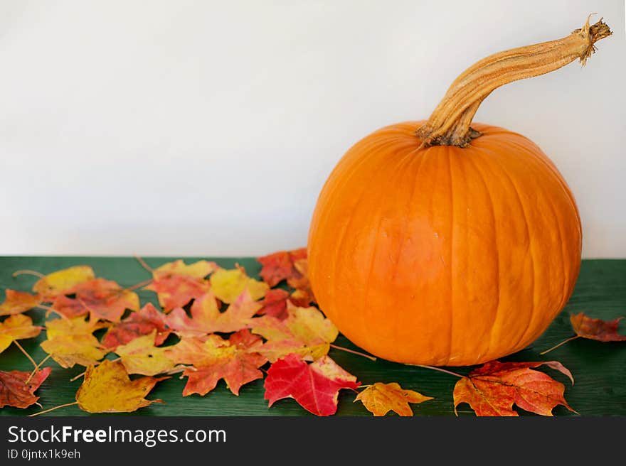 Calabaza, Winter Squash, Cucurbita, Pumpkin