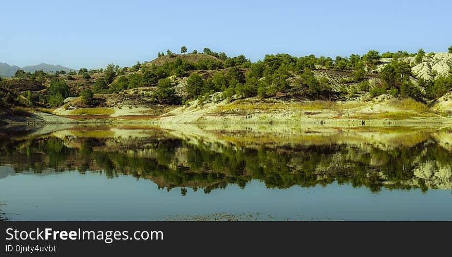 Reflection, Nature, Nature Reserve, Vegetation