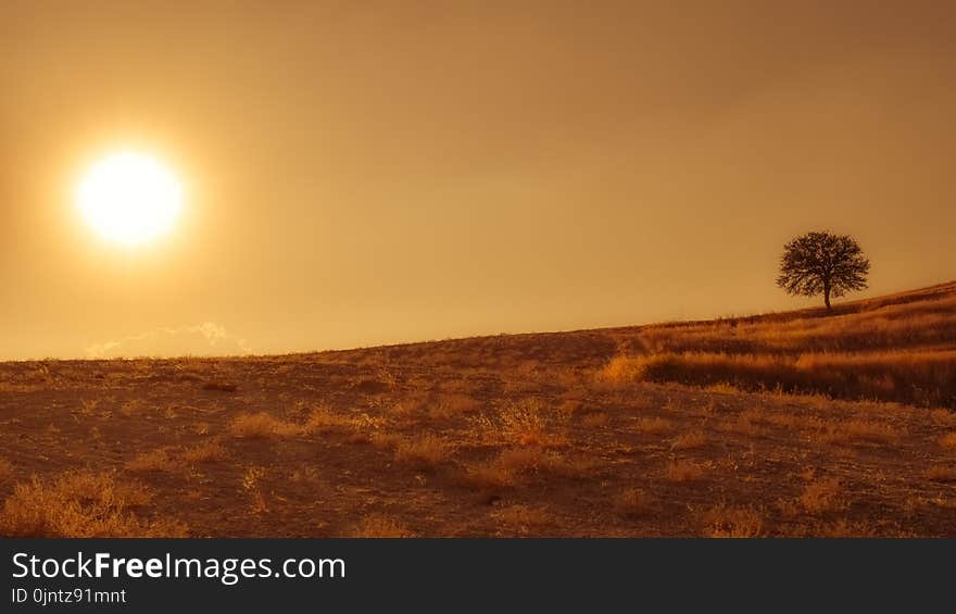 Sky, Ecosystem, Sunrise, Morning