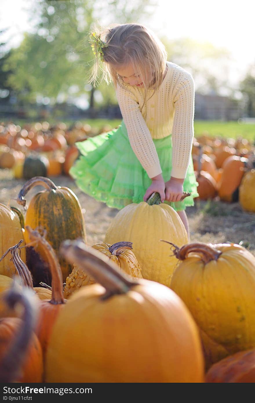 Pumpkin, Calabaza, Winter Squash, Local Food