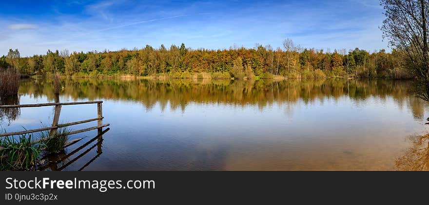 Reflection, Water, Nature, Wetland