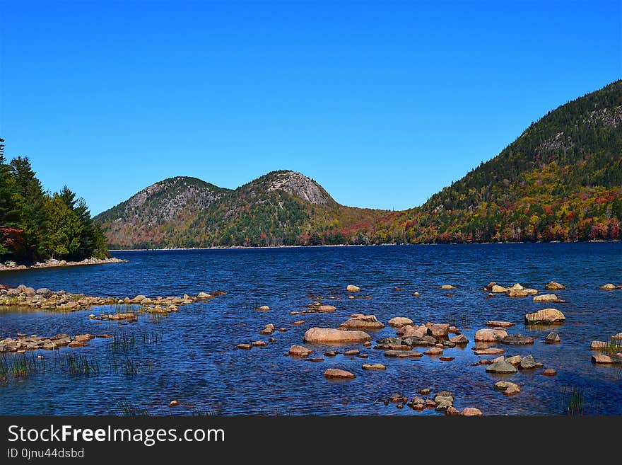 Nature, Water, Lake, Wilderness