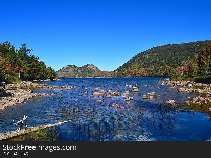 Water, Reflection, Nature, Lake