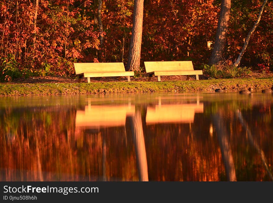 Reflection, Water, Nature, Leaf