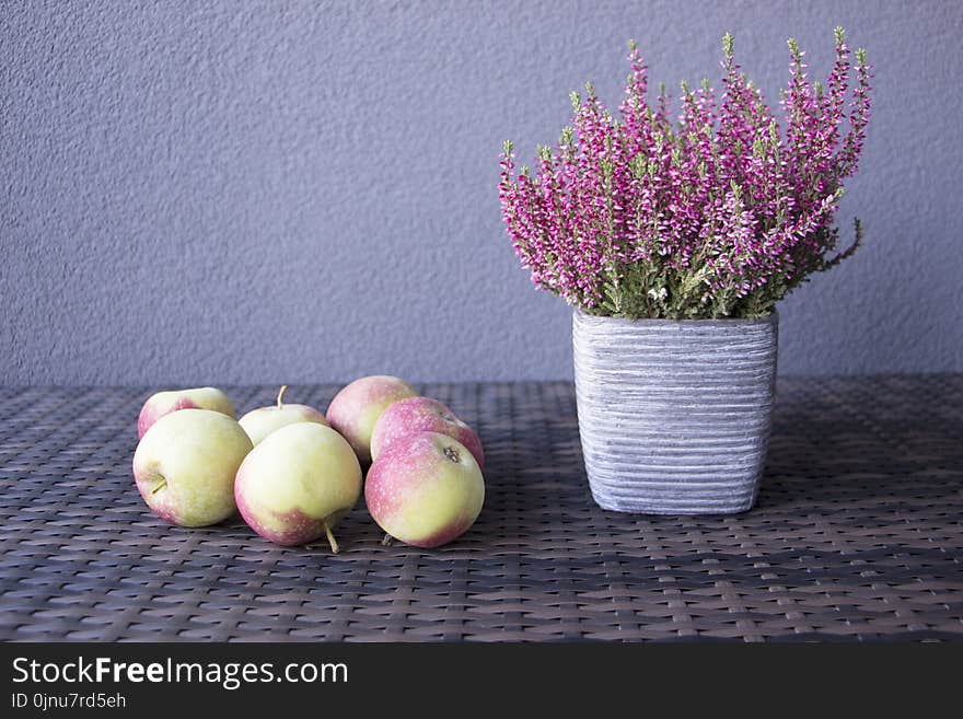 Flowerpot, Still Life Photography, Still Life, Plant