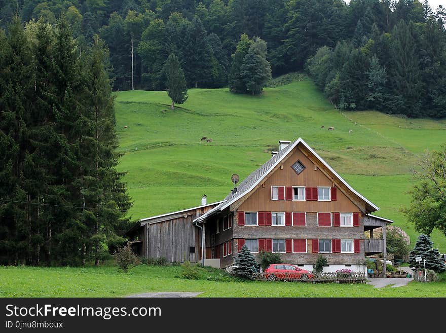 Home, Property, Pasture, Grassland