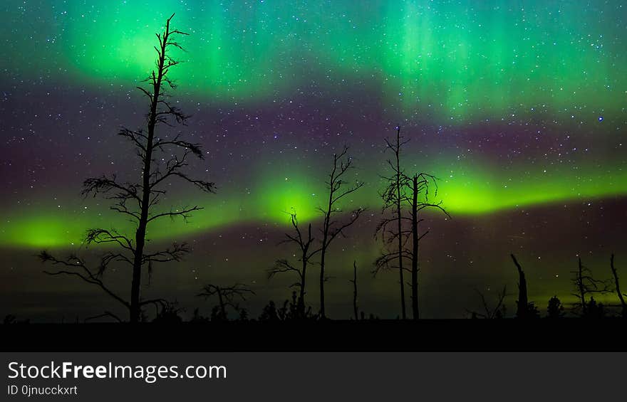 Aurora, Nature, Sky, Atmosphere