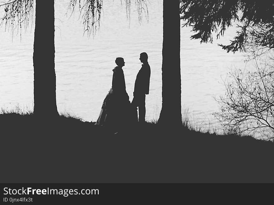 Photograph, Black And White, Monochrome Photography, Silhouette