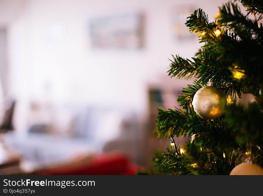 Shallow Focus Photography of Christmas Tree