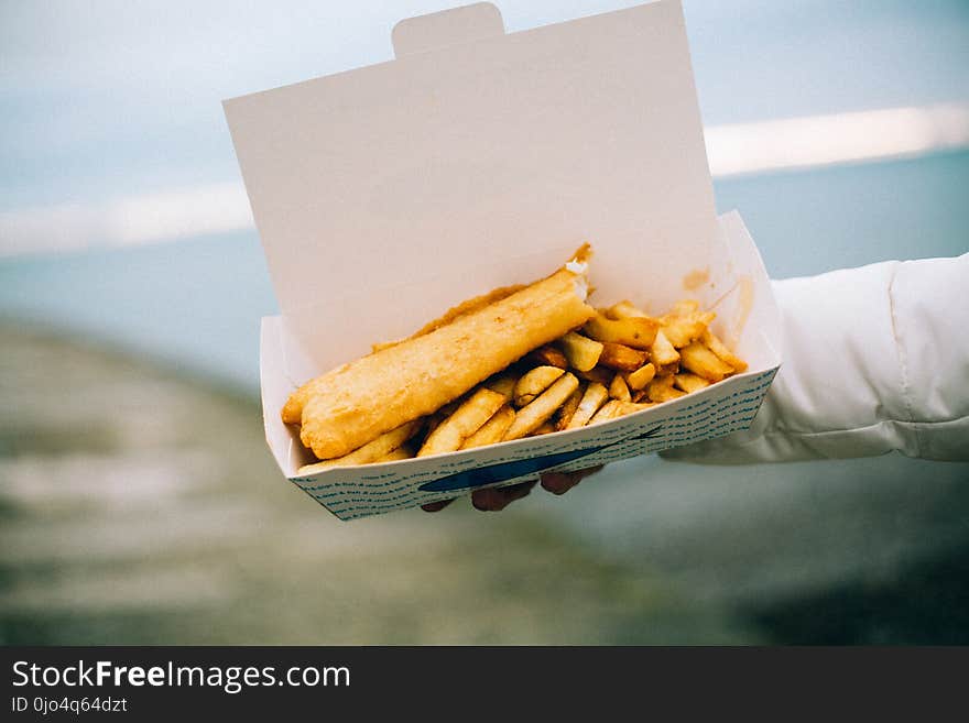 Person Holding Cooked Food