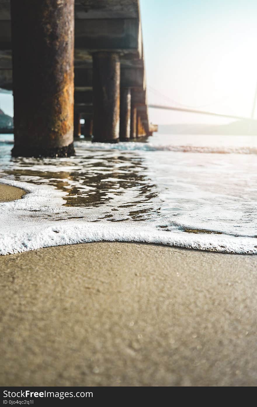 Closeup Photo of Seashore Near Bridge