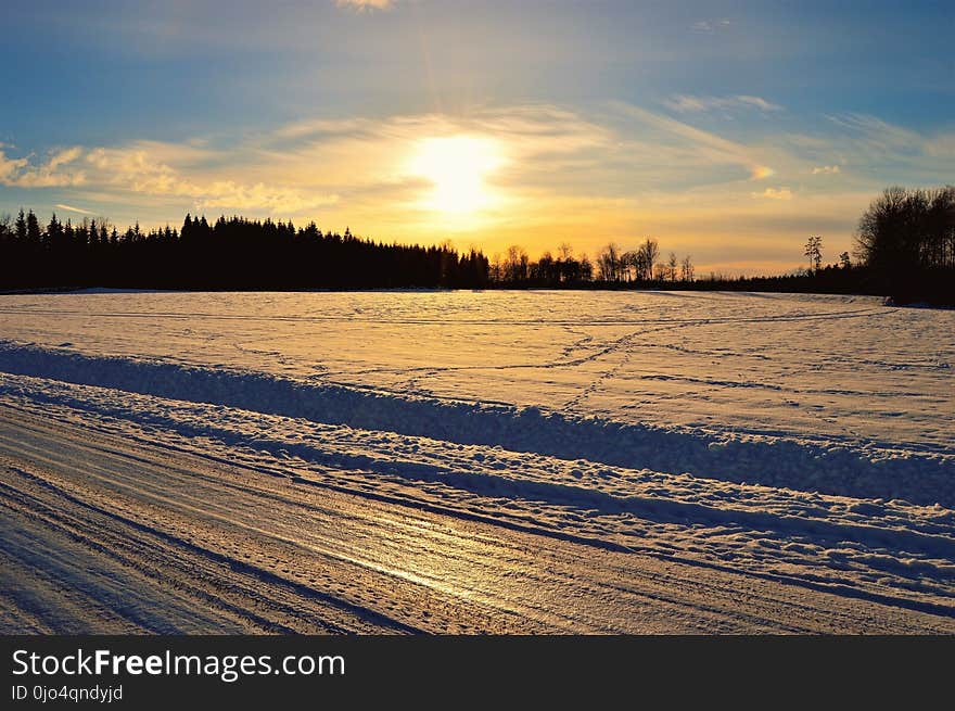 Silhouette of Trees in Front of Snow Field Durin Sunrise