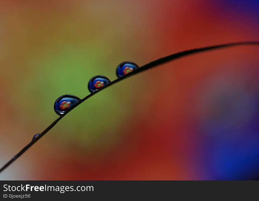 Water, Drop, Macro Photography, Dew